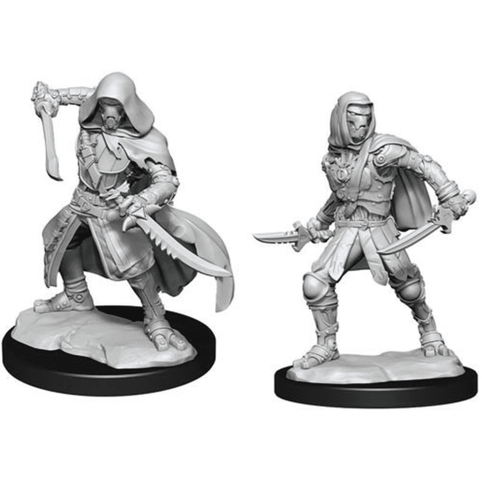 Nolzur's Marvellous Miniatures: Wave 14 Warforged Rogue image 0